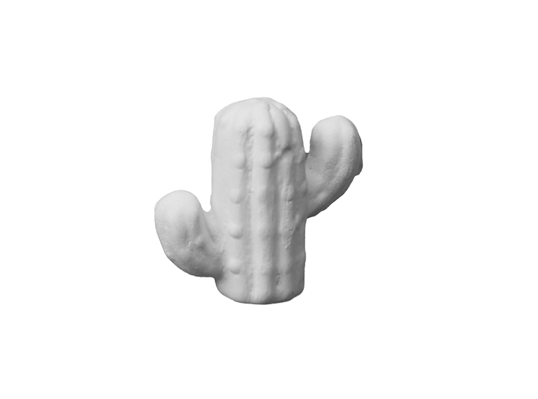 Saguaro Cactus MT