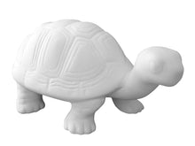 Load image into Gallery viewer, Tango the Turtle
