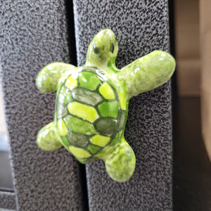 Sea Turtle Tag-Along