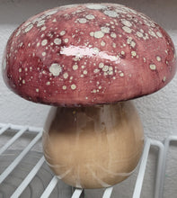 Load image into Gallery viewer, Whimsy Mushroom
