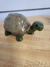 Load image into Gallery viewer, Tango the Turtle
