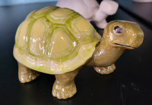 Load image into Gallery viewer, Tango the Turtle
