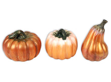 Load image into Gallery viewer, Tall Gourd Pumpkin
