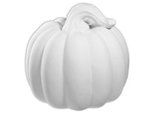 Load image into Gallery viewer, Chunky Gourd Pumpkin
