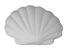 Load image into Gallery viewer, Scallop Shell Tag-Along
