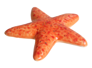 Starfish Tag
