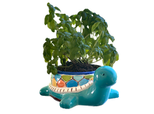 Load image into Gallery viewer, Teddy Turtle Planter
